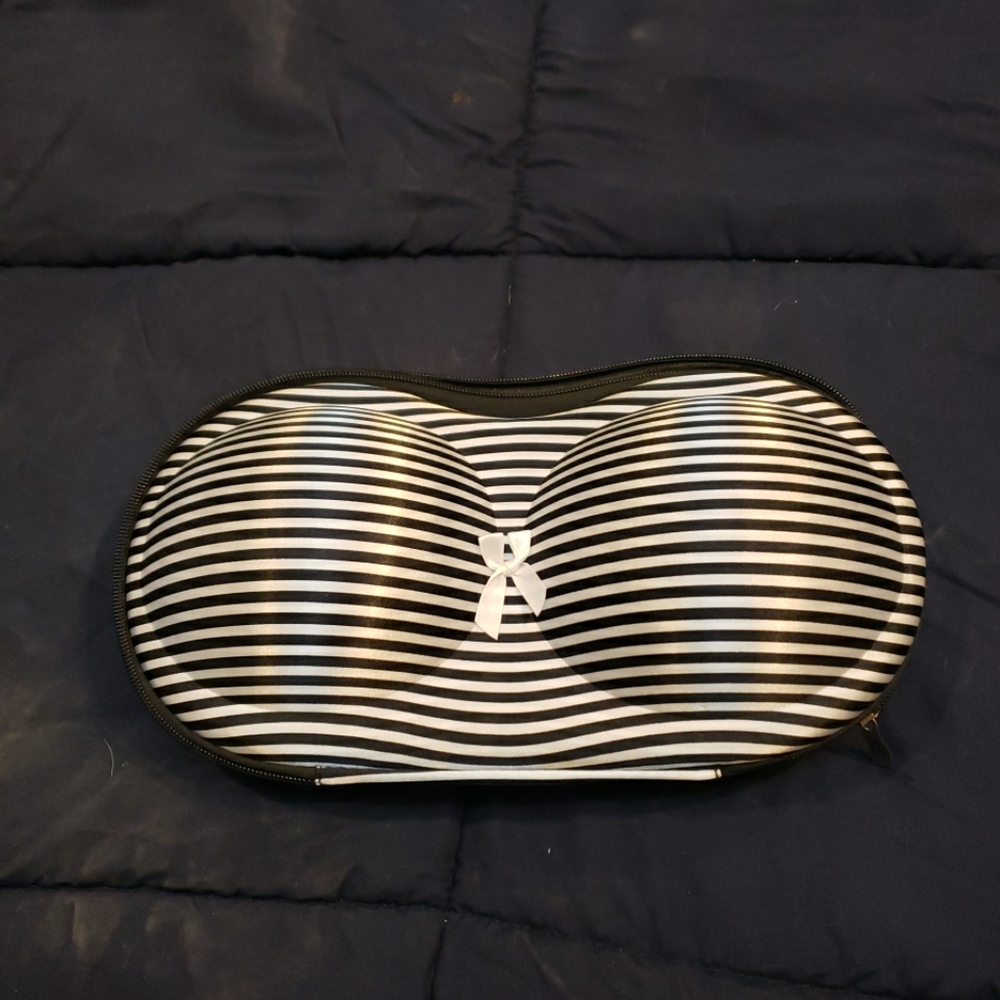 Travel bra and panty holder